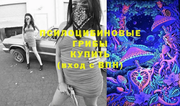 гашик Балабаново